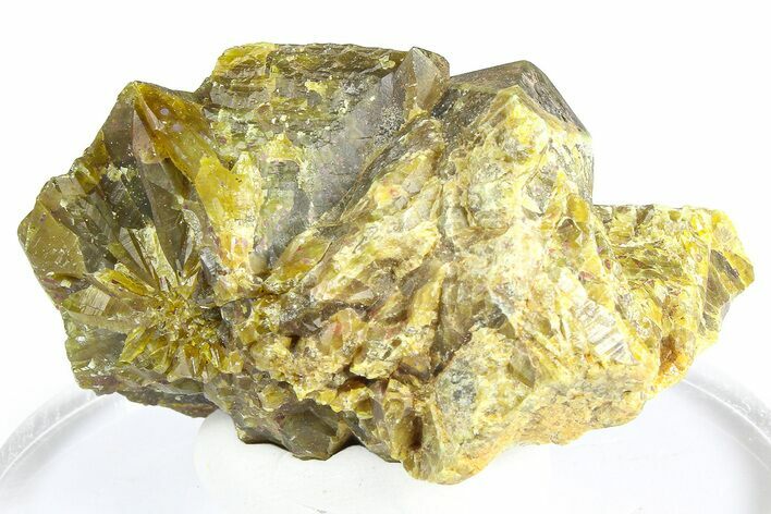 Olive Topazolite Garnet Cluster - Quartzite Mountain, Arizona #363741